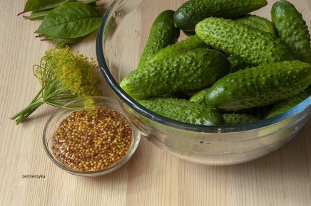 ������������ �������� � ����������� ��������: ������� �������� �� ����� �����