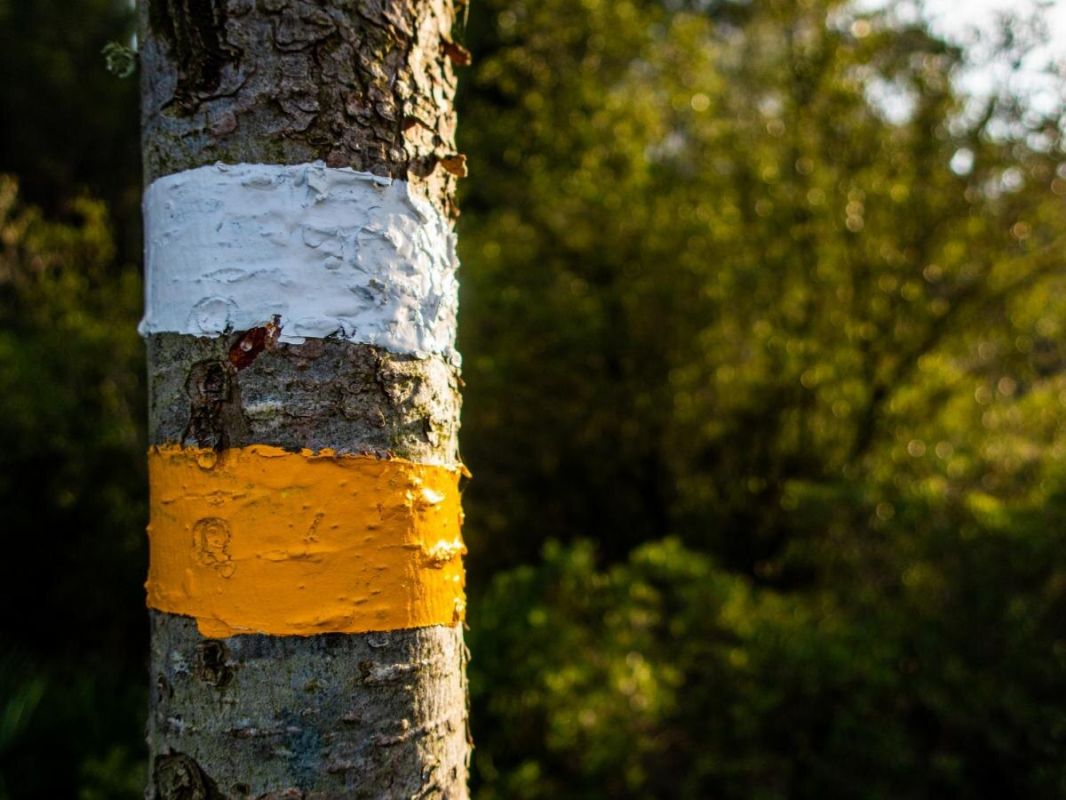 ������� ������ ������ ��� ��������� ��������: ����� �� ������ ��� ��������?