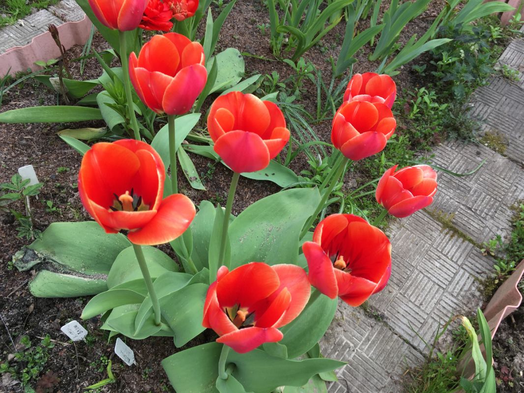 ���� �� ���������� �����������: ������ ��� ��������� �������� � ��������� ����