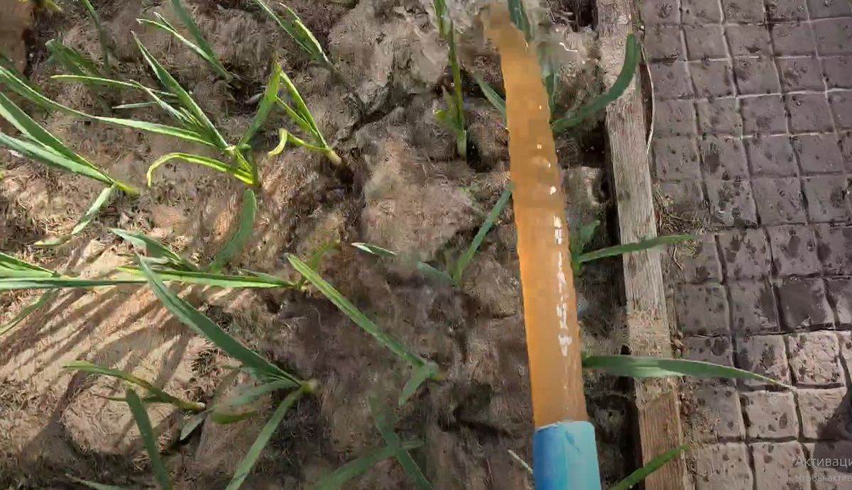 ����� � ���������� ����������� ����������� ������������ ������ � �������