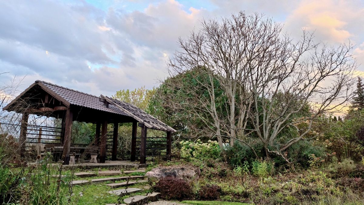 ��� ��� ���������: �������� ����������� ������������ �� ������� �������