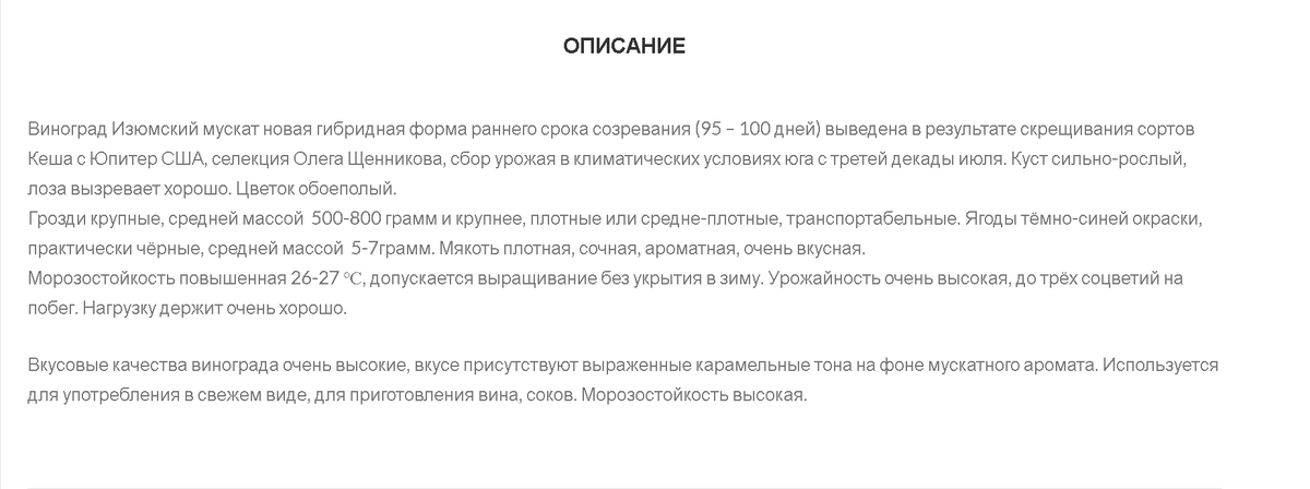 Винодельческий процесс: как справиться с вопросами и трудностями