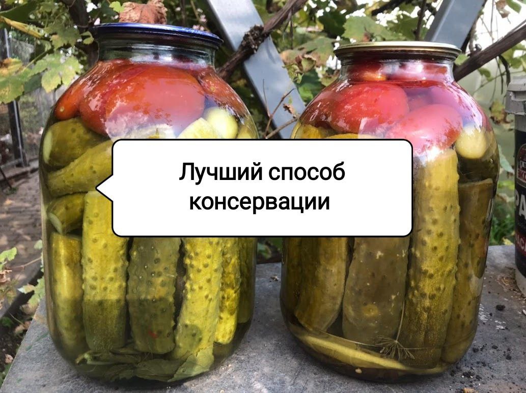 Как сохранить витамины в зимних запасах