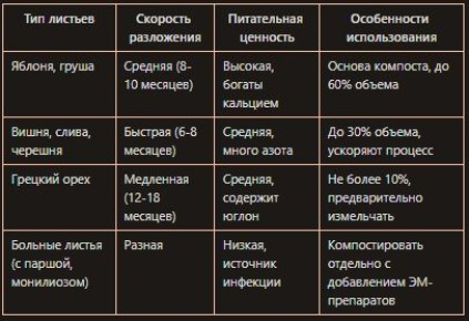 Как превратить опавшие листья в полезный компост: секреты садоводов