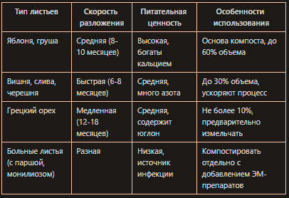 Как превратить опавшие листья в полезный компост: секреты садоводов