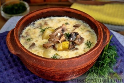 ����, ������� ���������: ����� ���������� �������