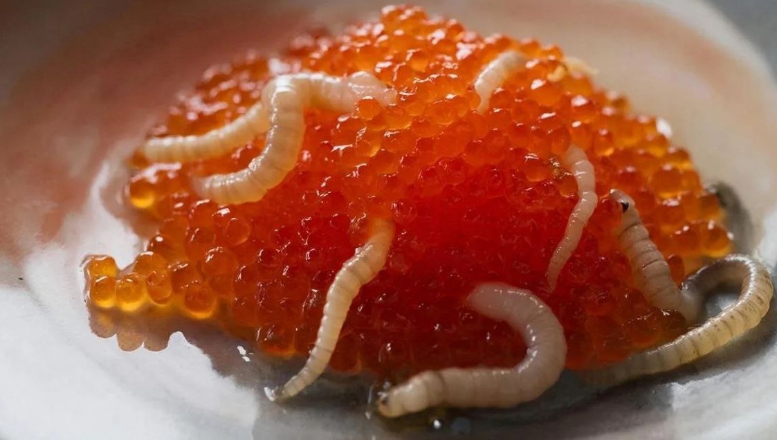 Как разборчивость в магазине меняет наш взгляд на деликатесы из рыбы