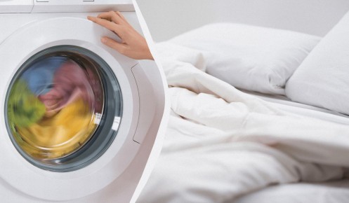 ��� �� ����� �������: 7 �����, ������� ����� ��������� ���� ���������� ������