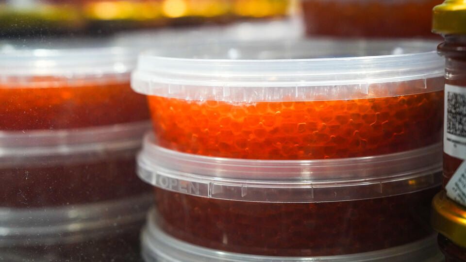 ��� ����� ����� ������� ������� ����: ������ ��������������