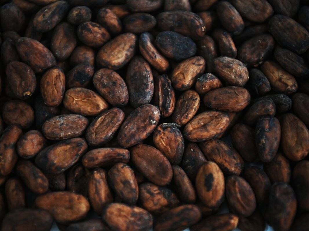 ���� �� �����-���� ���������� ���� 3 500 �������� �� �����