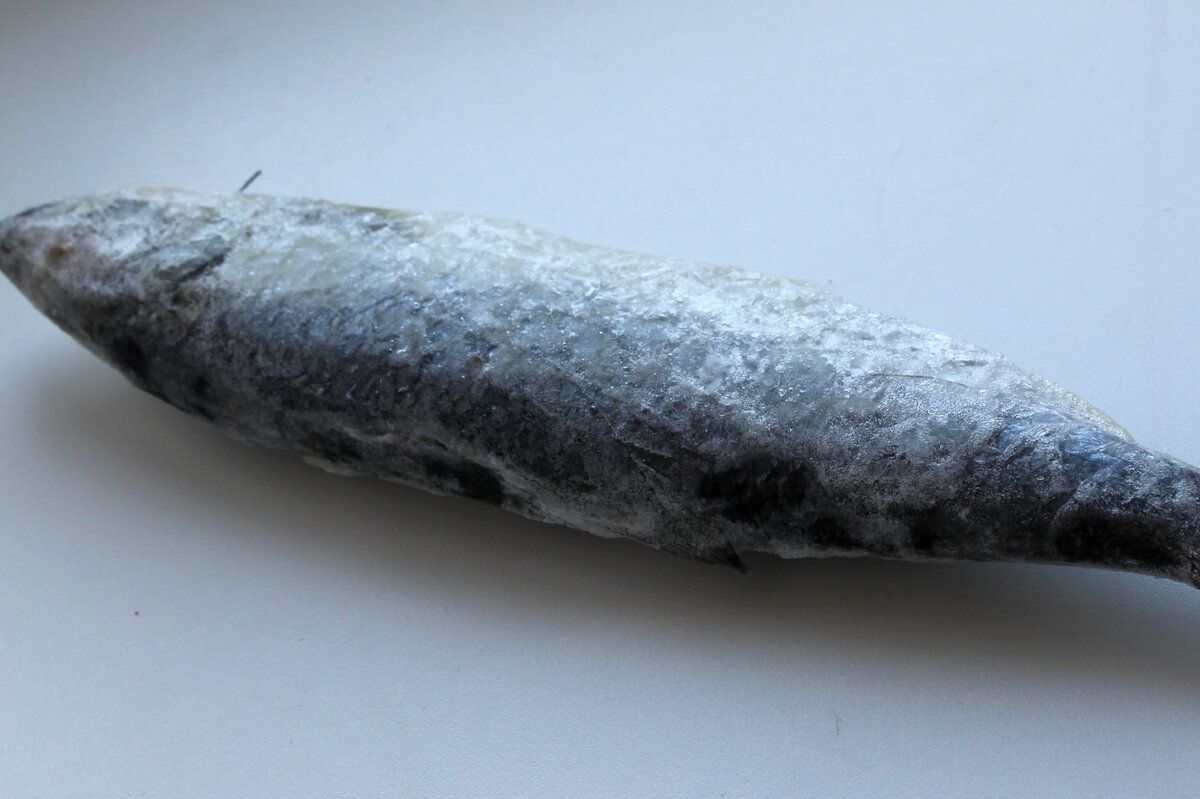 ��� ����� ����������� ����������� ������� � ������������: ������� � ������� ������