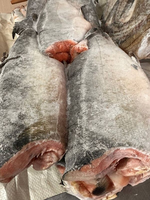 ����� ���� ���������: ������ ����� �� �������� ����