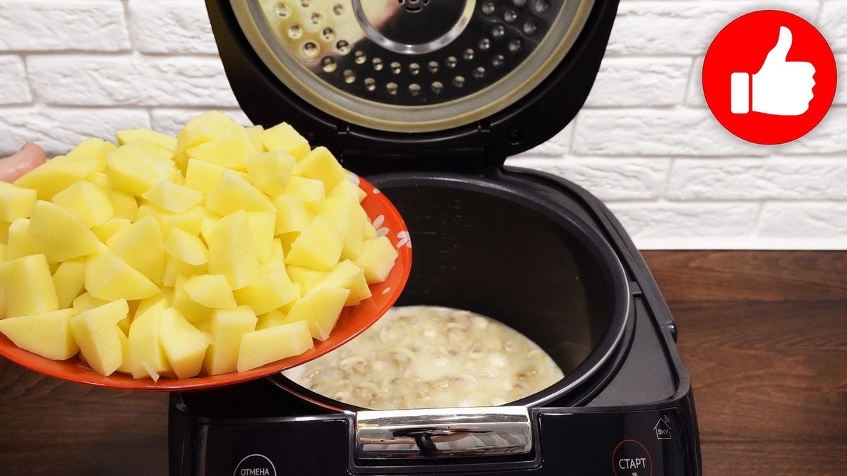 ������ �������� � ������������: ��������� ����� ��� �����������