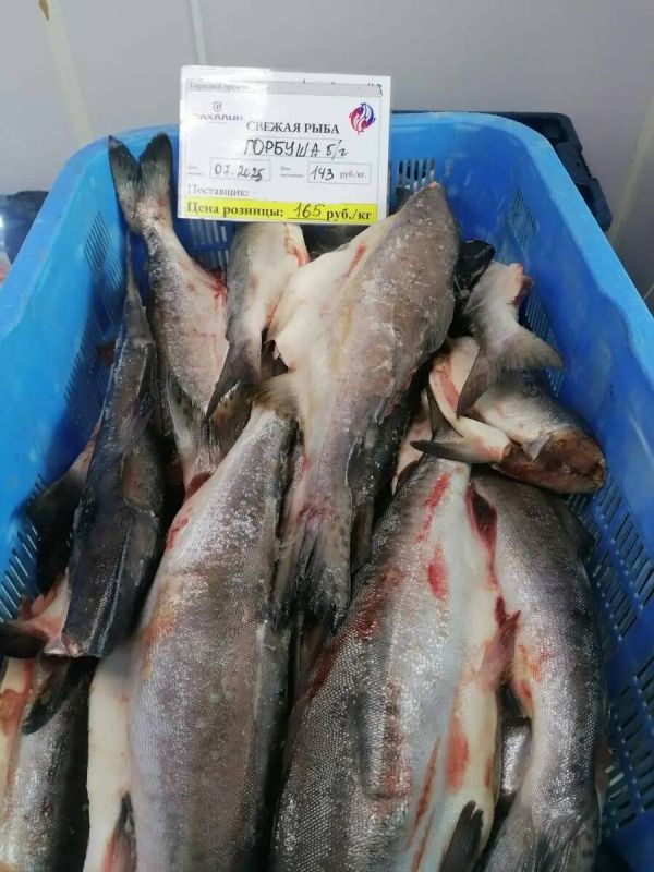 ������� �� ���� 165 ������ �� ���������: ������ ���� �������� �������