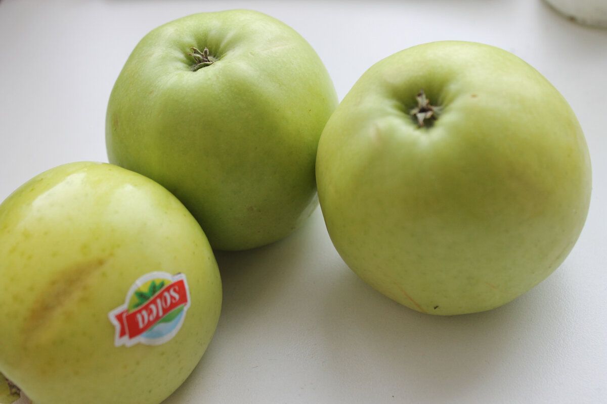 ��� ������ ������ ����� ������� ��� ������ ������: ������� ������