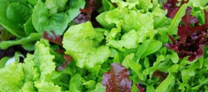 ������ ��������� ������������ �� ������� � �������� ������ �����