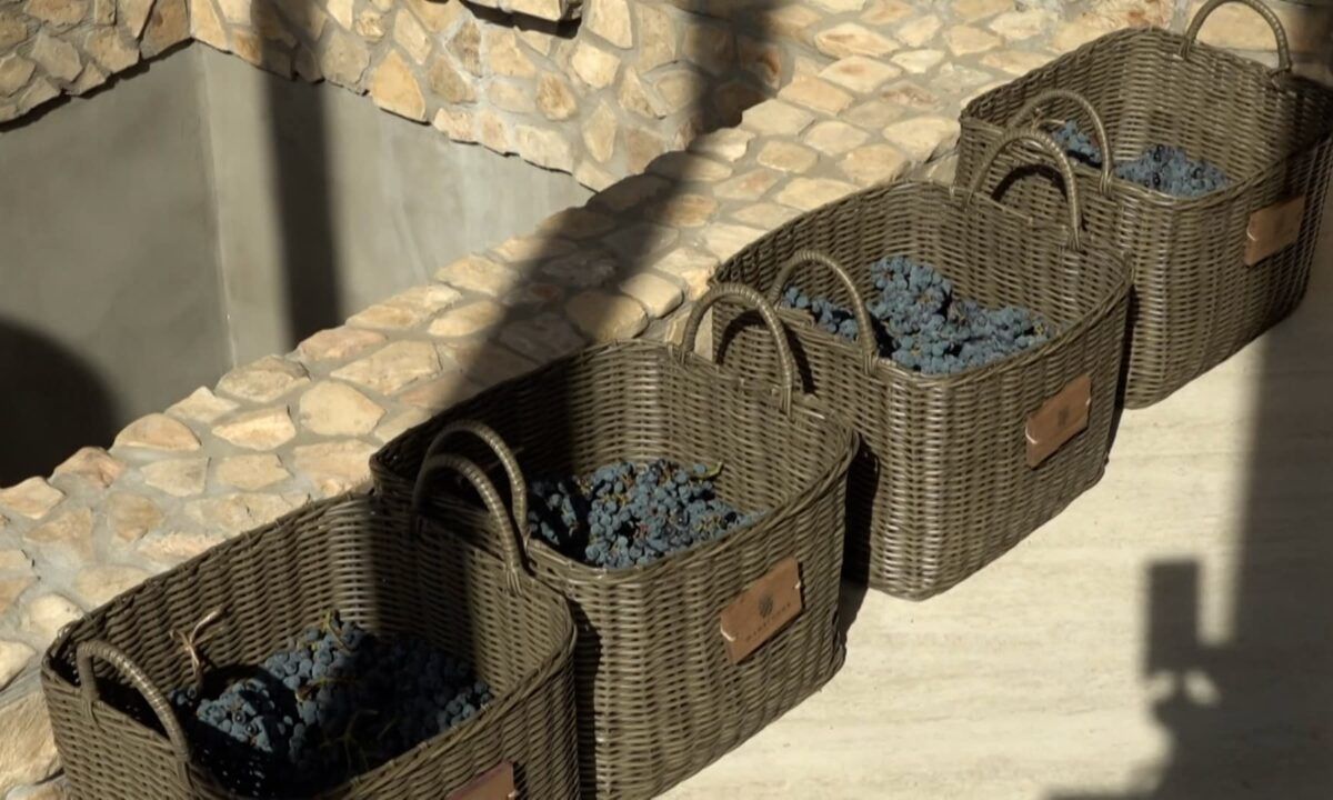 ���������� ����� ������ ��� ������ �������� �����������