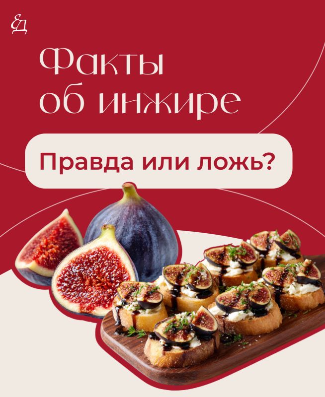 �����: ���� � ����� �� ���� ������������ ������