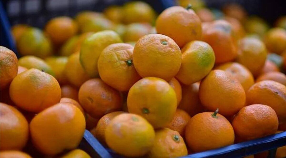 ������ ����������� � ��������� ��������