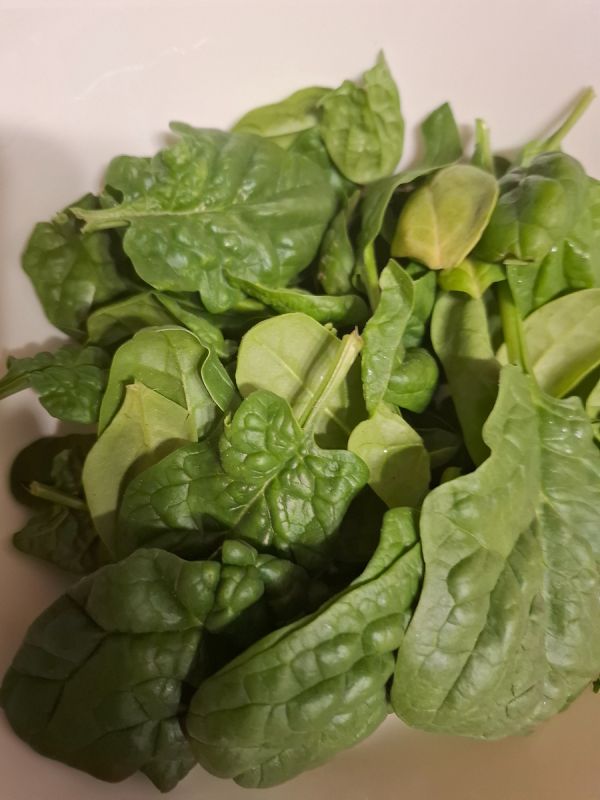 ������� ������ �� �������� � �����