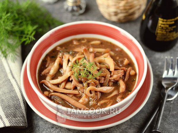 ������ �������� � ������ ������: ������� � ������� ������� ��� �����