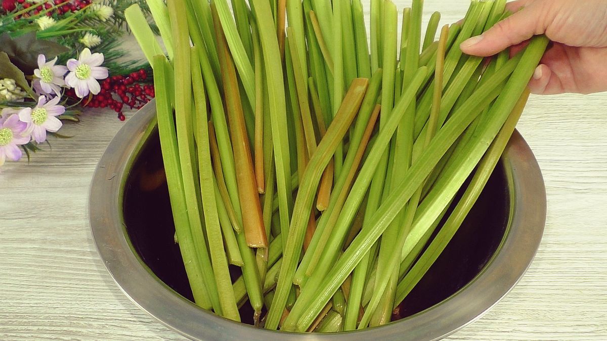 �������������� ������ �� ������: ������� ������ ��� ���������� ������������