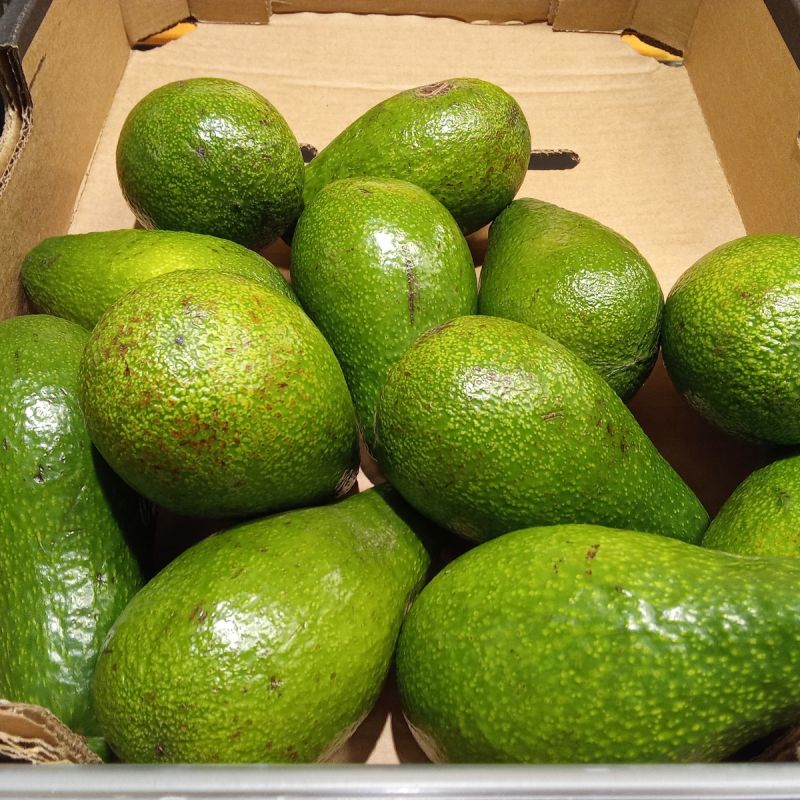 �������: ����������� �������� ��� ��������