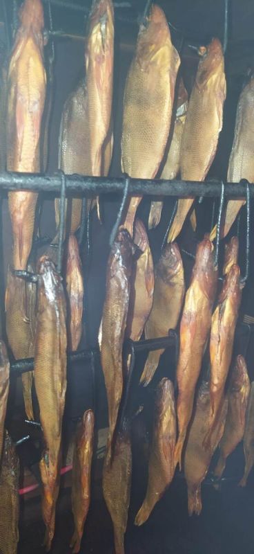 ��������� ������ ��������� �������� ������� �����