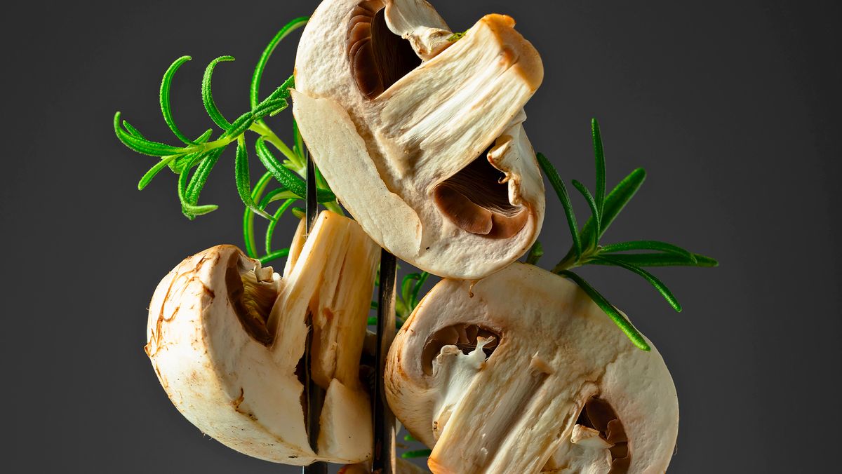 ������ ������ ���� ���������� ��� �����?