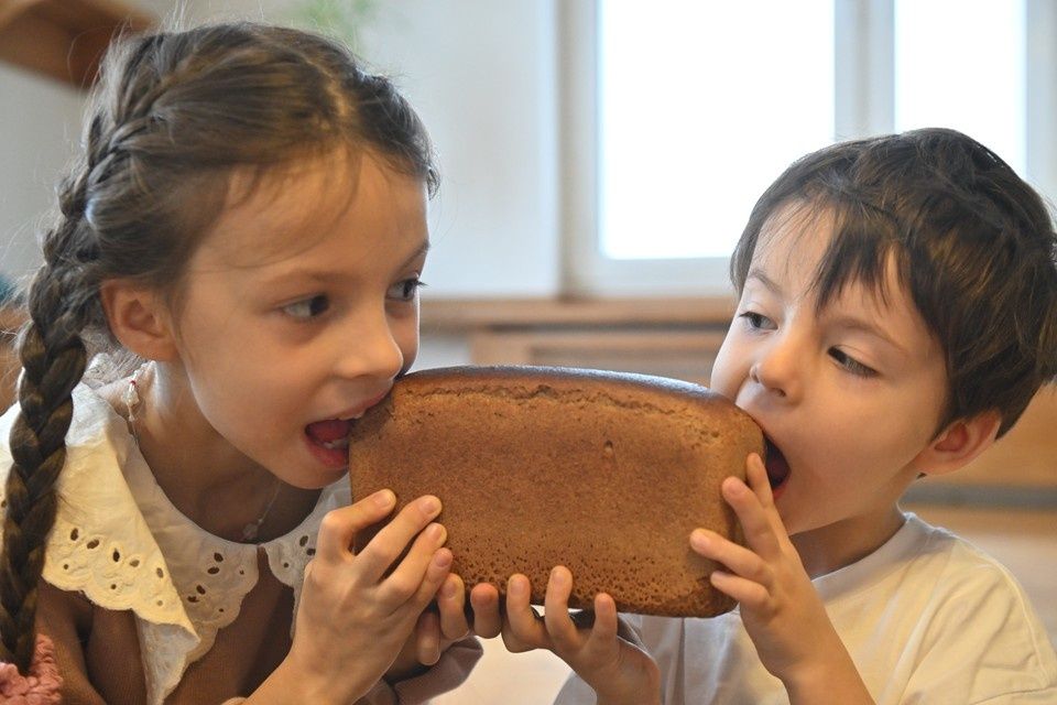 Хлеб из семян подорожника: полезная альтернатива пшеничному