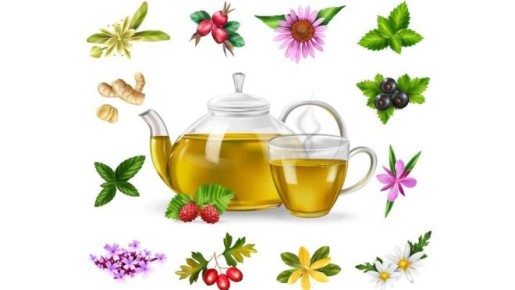 �������� ���: ������ � ������������ �������� ��������