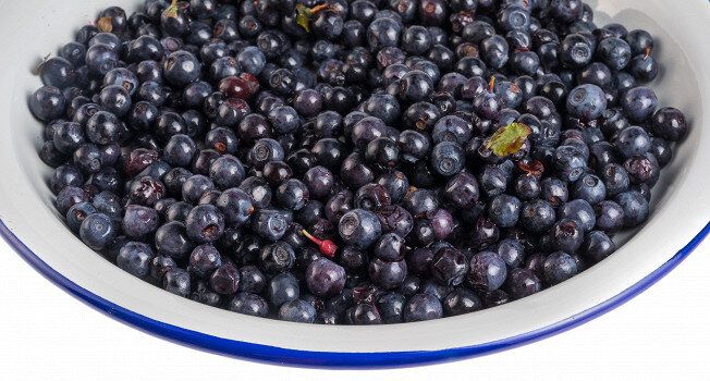 Популярные рецепты с черникой от шефов