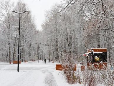 ��������� � �������� ��������