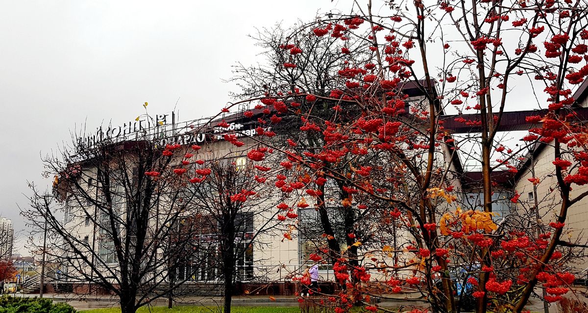 ����������� �������� � "�������": ������ � ������� ���������� ����