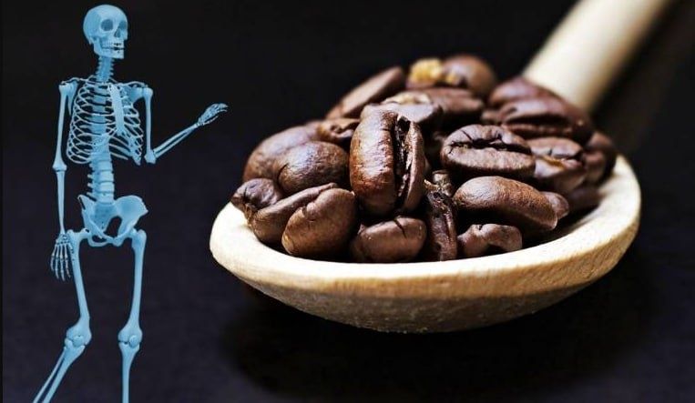 ����: �������, ������� ��������� ��������