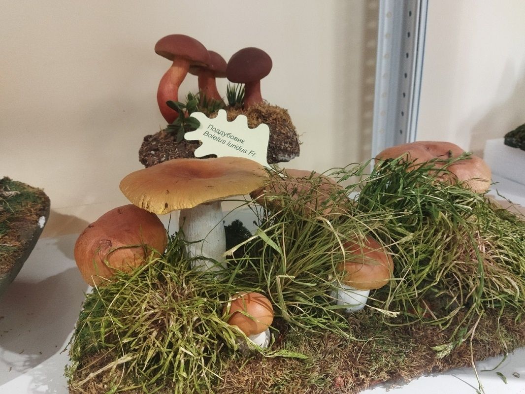 ��������� �������� ������ ��������� �������� ������������