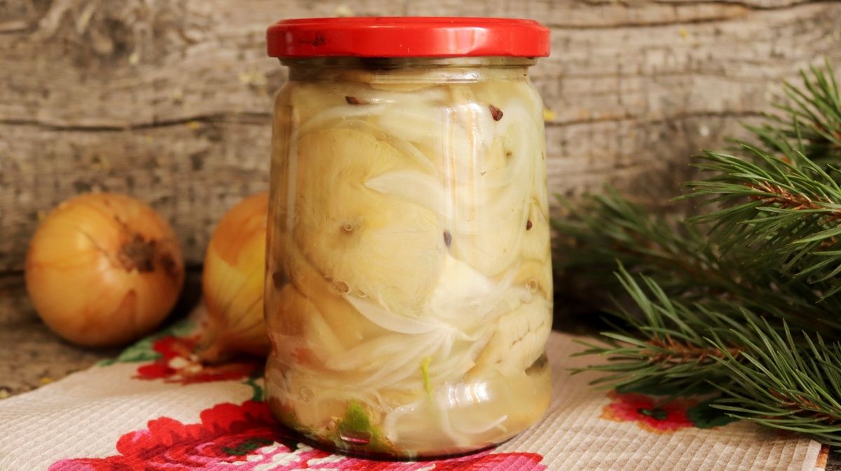 ����� ������ � ������� ������: ������ � �����, ������� ����� �����������