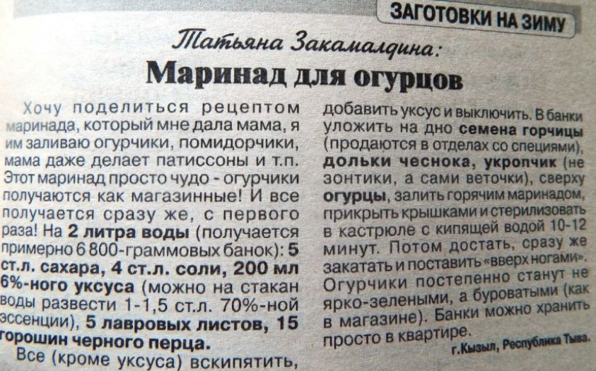 Как приготовить хрустящие огурчики на зиму — секреты идеального засола