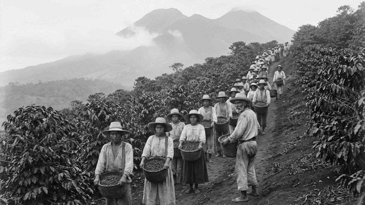 Кофе и капитализм: Как голод стал инструментом успеха