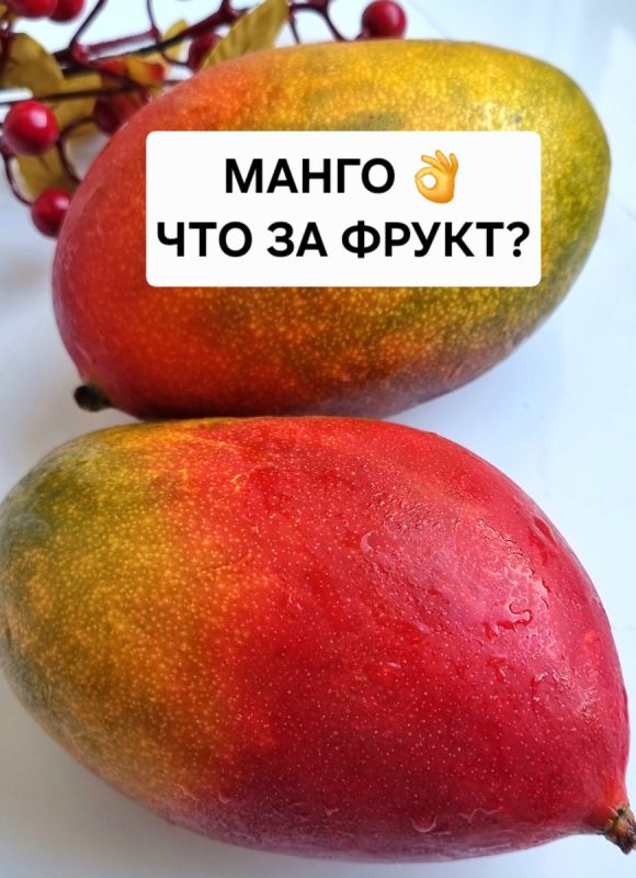 �����: ��������� �������� � ��� ��������� ��������