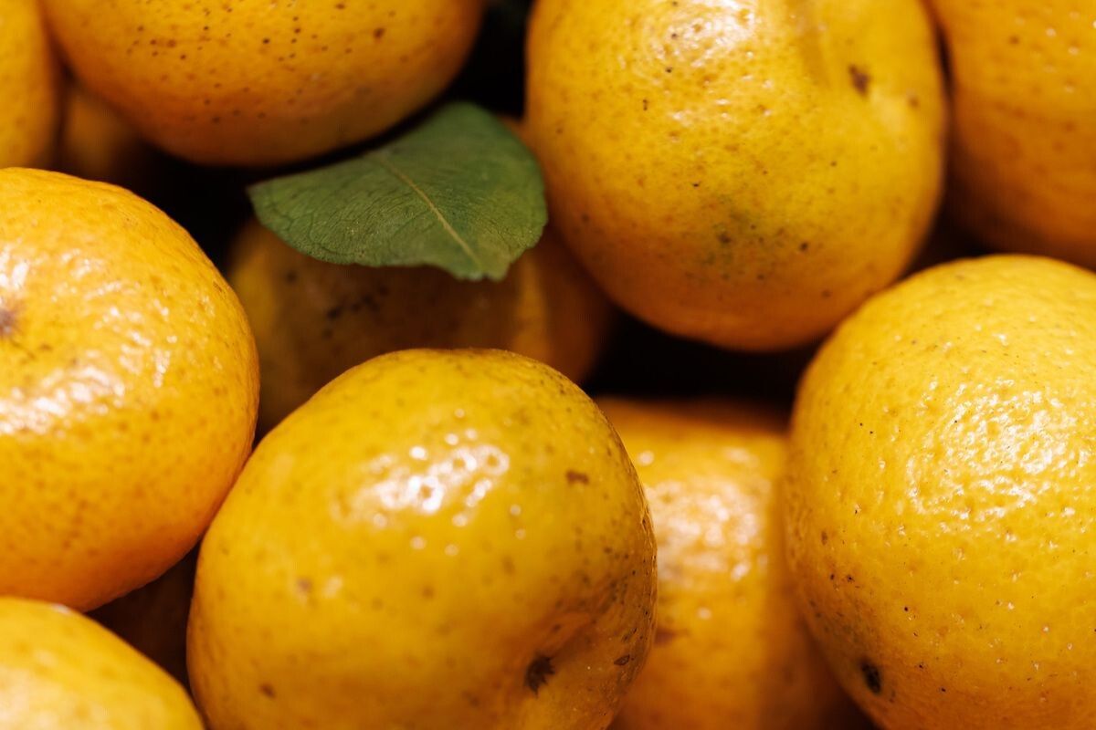 ��� ������� ��������� ��������: ������ �� ������ ������