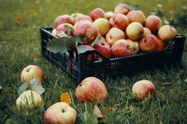 �������� ������ �� 15 �����: ������� � ������� ������ ���������