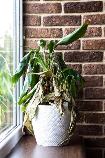 ��� ������ ������ ������� ����� ��������� ��������� ������ �����