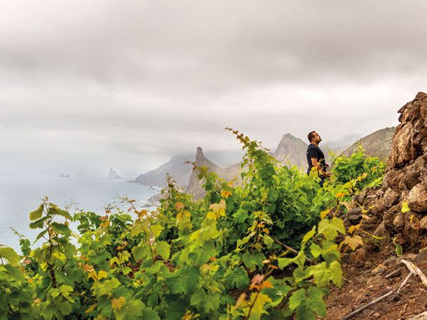 Тенерифе: Вино с Высоты Птичьего Полета