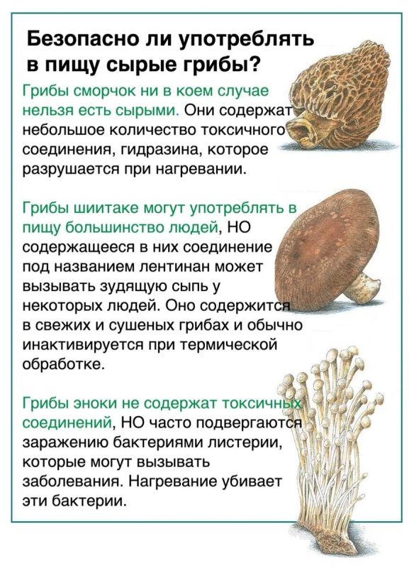 �������� �� ����� �����? ������ ������� ��� ��������