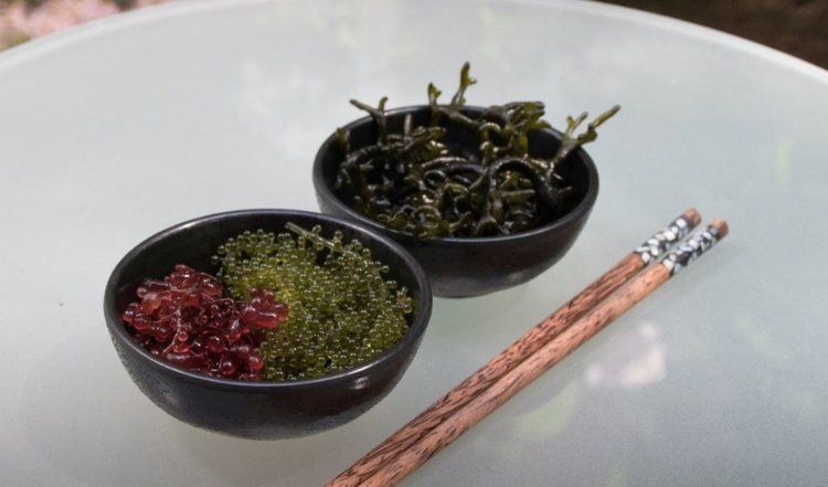 ������� ���������: ��������� ������ ��� ��������