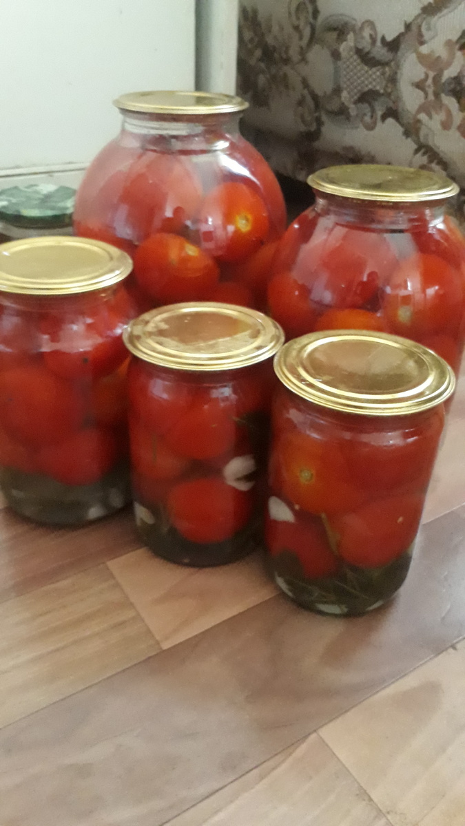 Томатное волшебство: как использовать все плоды без остатка