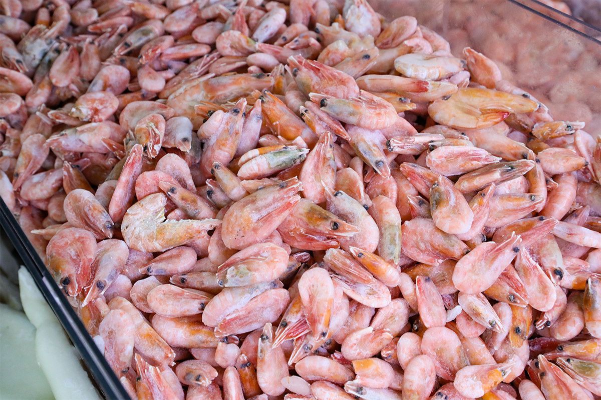 ��� ��������� ������ ��������: ������� � ������