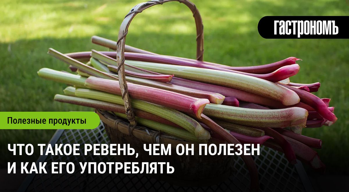 Ревень: Необычный Растение С Суперполезными Свойствами