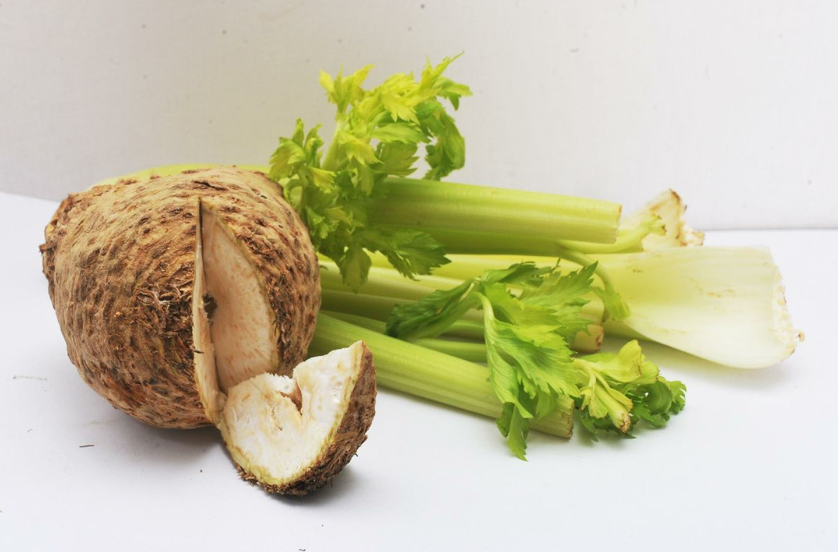 ������� ����� ���������: ��� ������� ������ ������������� �������